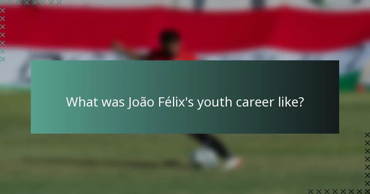 What was João Félix's youth career like?